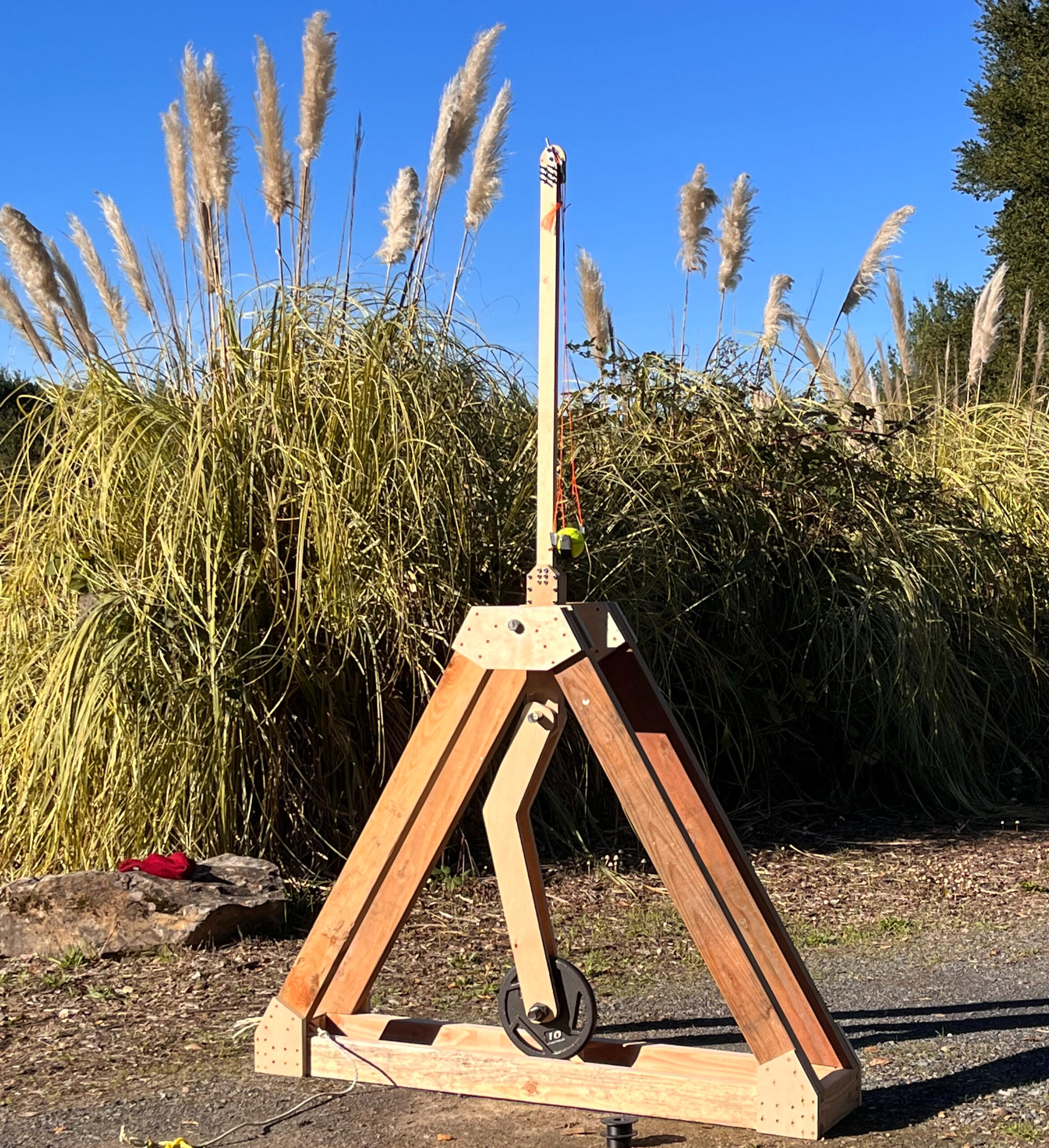 Completed whipper trebuchet outdoors before testing