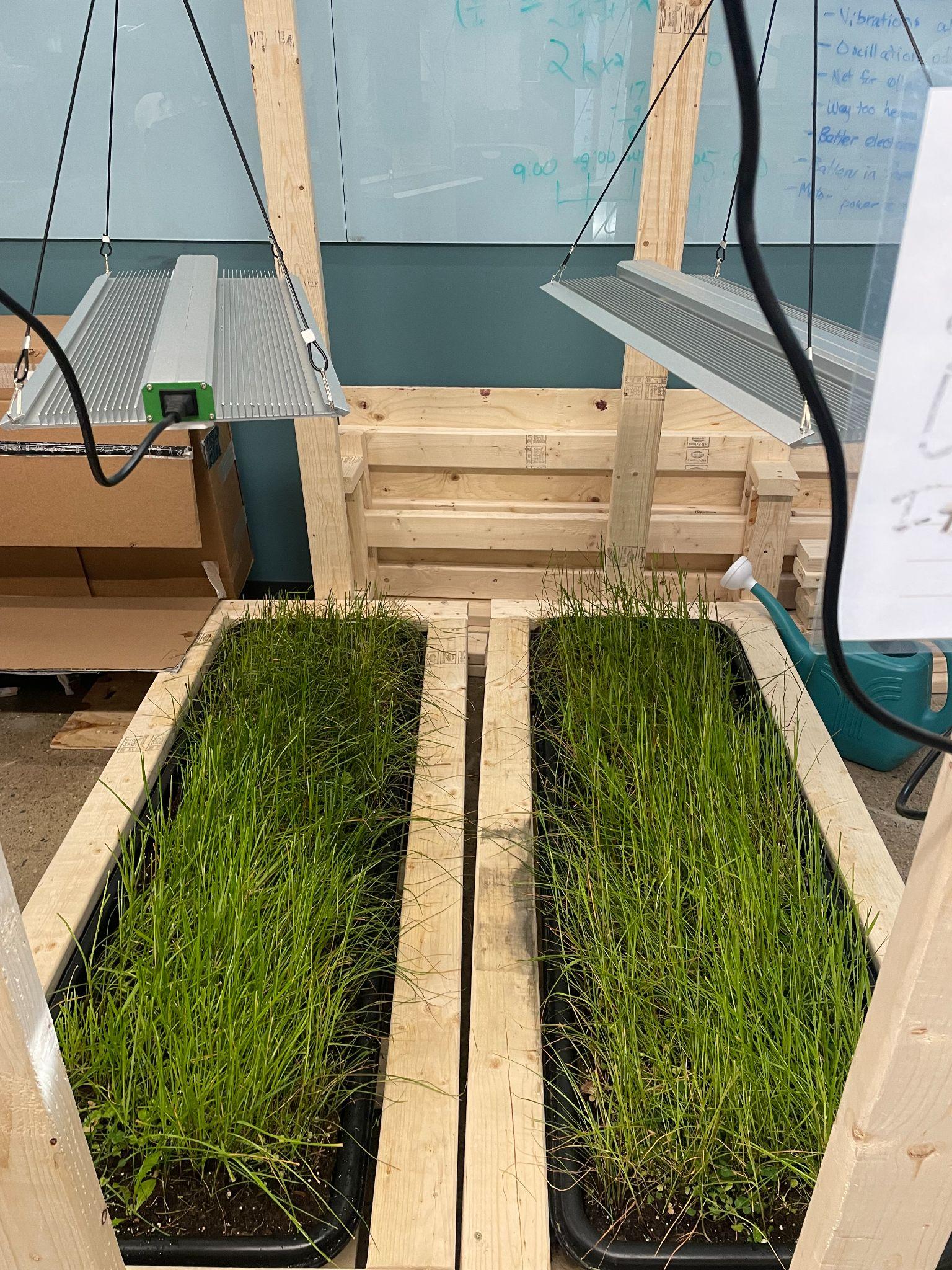 Indoor grass test bed built to evaluate the EcoTrim prototype during winter